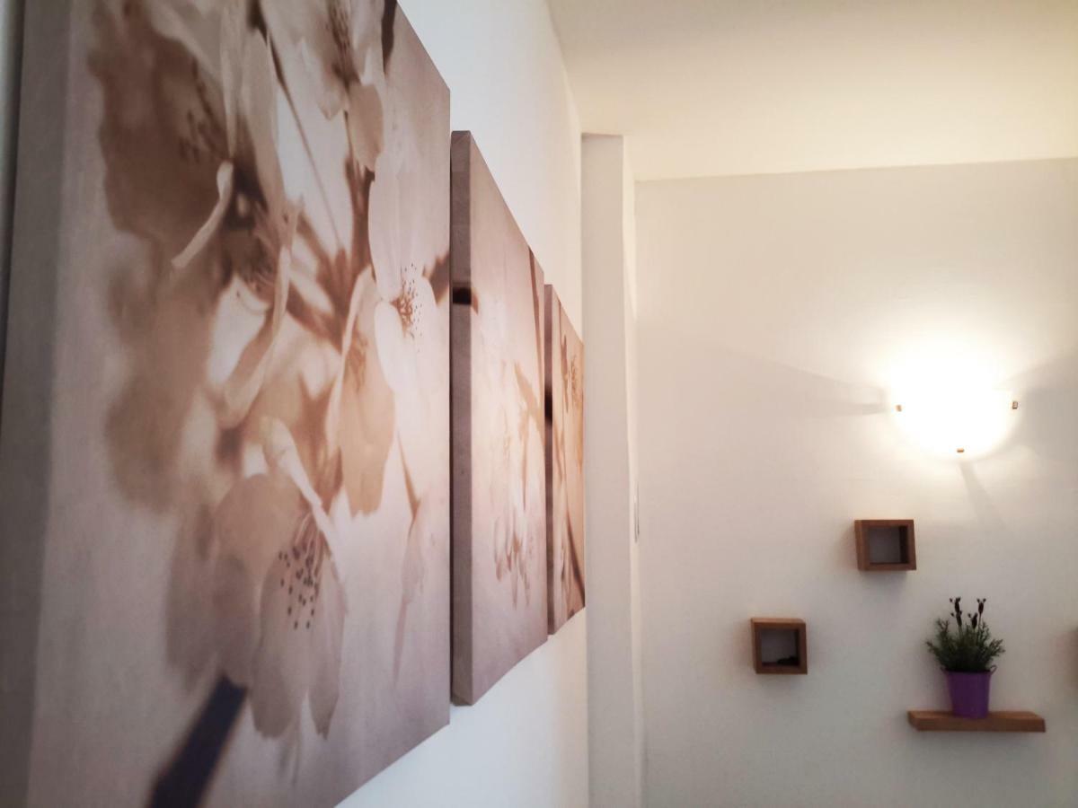Albert Home كارلوفاتش المظهر الخارجي الصورة